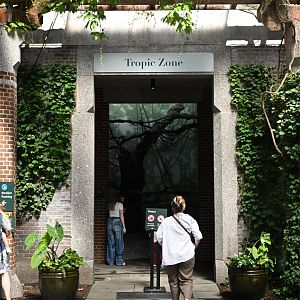 Tropic Zone - Entrance