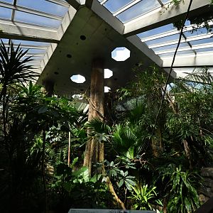 Tropic Zone - Interior