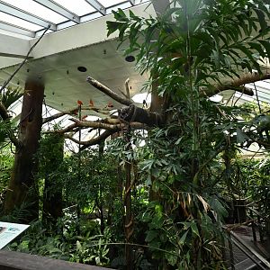 Tropic Zone - Interior