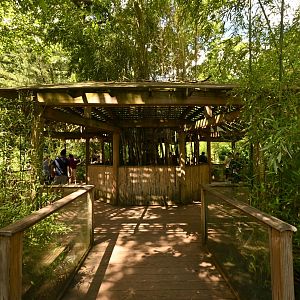 Temperate Territory - Red Panda/White-naped Crane Viewing Shelter