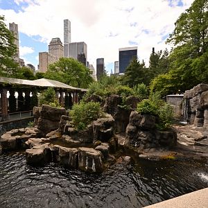 Temperate Territory - Japanese Macaque (Macaca fuscata) Exhibit