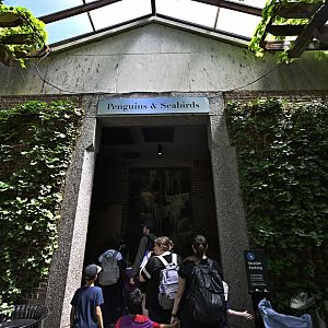 Penguins and Seabirds Exhibit - Entrance