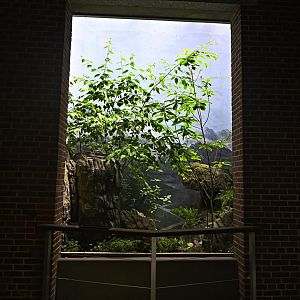 Penguins and Seabirds Building - Unused Exhibit