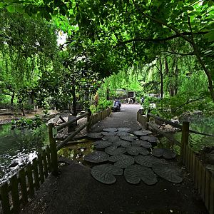 Childrens Zoo - Landscape and Scenery