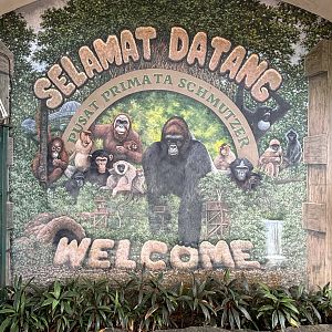 Primate Center Entrance Sign