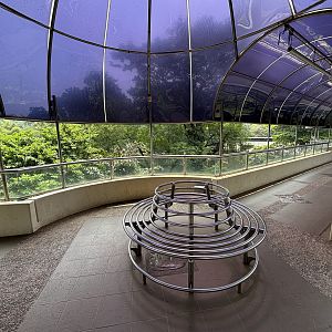 Gorilla Exhibit - walkway