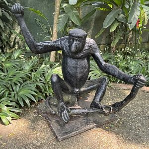 Primate Center Proboscis Monkey Statue
