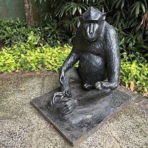 Primate Center Sulawesi Crested Macaque Statue