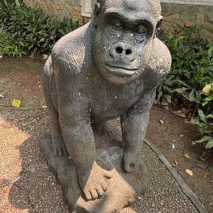 Primate Center Gorilla Statue #2