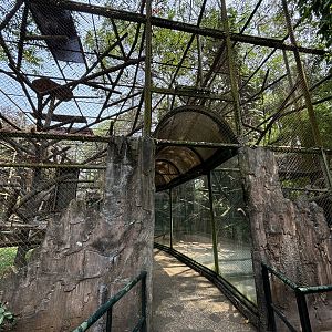 Mitered Surili + Proboscis Monkey Exhibits