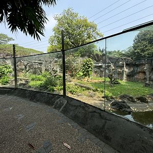 Grizzled Tree Kangaroo Exhibit