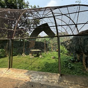 Tonkean Macaque Exhibit #3