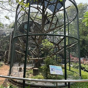 Agile Gibbon Exhibit #3