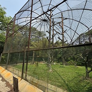 Empty Exhibit - under renovation