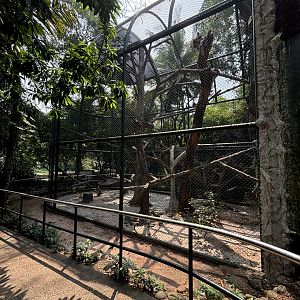 Agile Gibbon Exhibit #4