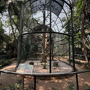 Agile Gibbon Exhibit #4