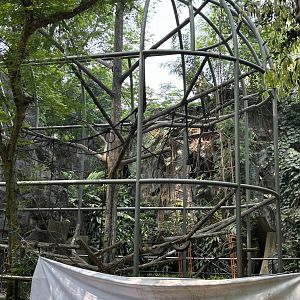 Siamang Exhibit #5 - under renovation