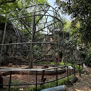 Siamang Exhibit #5 - under renovation