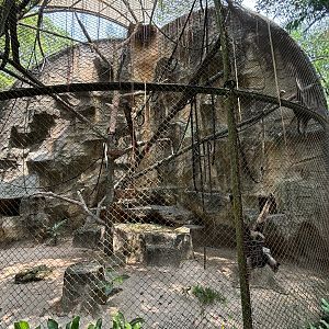 Muller’s Gibbon Exhibit #3