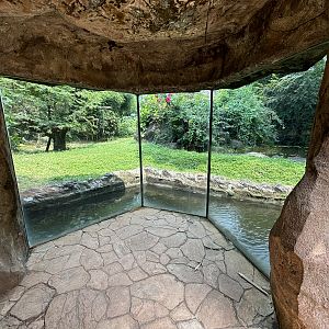 Orangutan Exhibit View #1