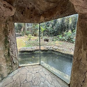 Orangutan Exhibit View #2