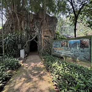 Orangutan Exhibit - entrance tree
