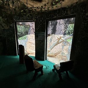 Orangutan Exhibit View #10