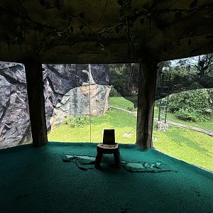 Orangutan Exhibit View #12