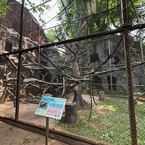 Heck’s Macaque Exhibit #3