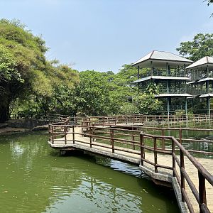 Visitor Boardwalk Trail