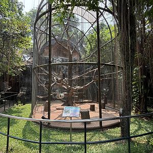 Heck’s Macaque Exhibit #4