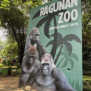 Gorilla Exhibit Sign