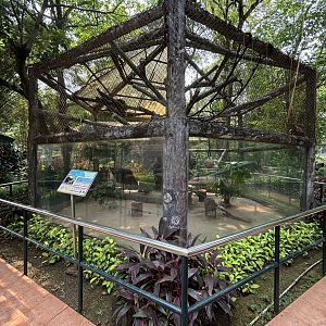 Tufted Capuchin Exhibit