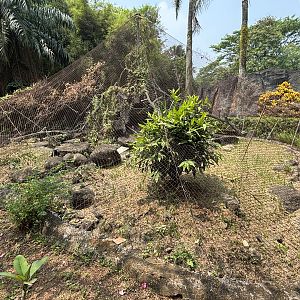 Empty Exhibit - former Slow Loris enclosure