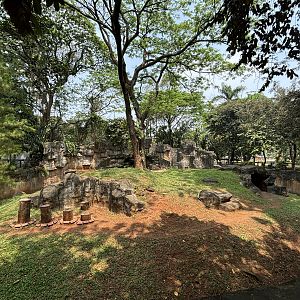 American Black Bear Exhibit