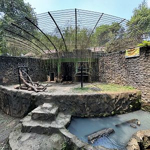 Sun Bear Exhibit #13