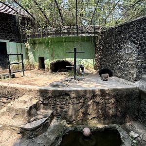 Sun Bear Exhibit #14