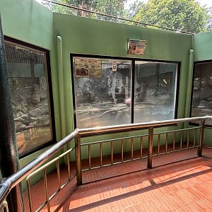 Small-clawed Otter Exhibit