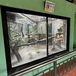 Masked Palm Civet Exhibit #1