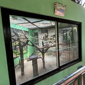 Prevost’s Squirrel Exhibit