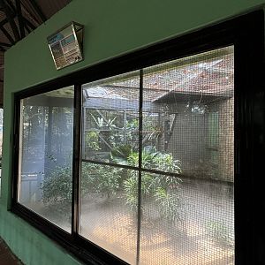 Small Indian Civet Exhibit