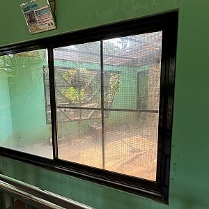 Sunda Porcupine Exhibit #3