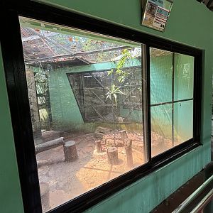 Sunda Porcupine Exhibit #4