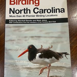 Birding North Carolina: More than 40 Premier Birding Locations
