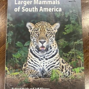 A Field Guide to the Larger Mammals of South America