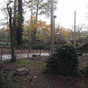 European aviary being renovated, 2024-11-24