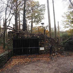 European aviary being renovated, 2024-11-24