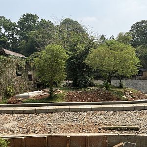 Tiger Exhibit #16 - under renovation