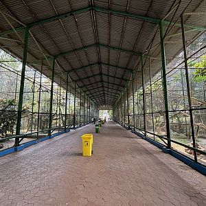 Another massive row of aviaries