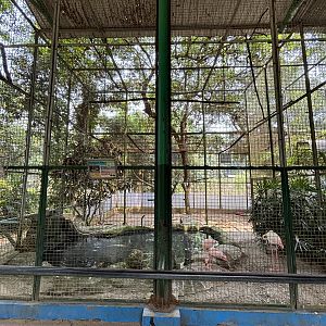 Mixed Wetland Aviary